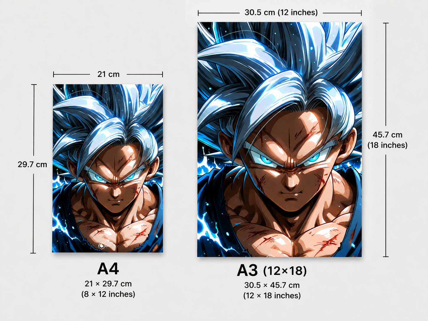Dragon Ball Premium Metal Wall Poster